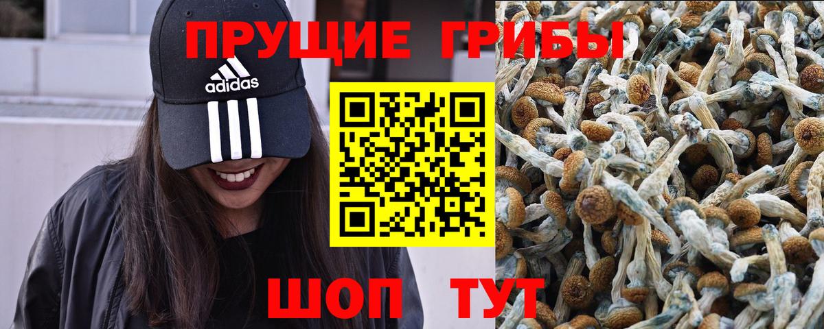 Боровичи  Псилоцибиновые грибы MAGIC MUSHROOMS  Вход с VPN  Псилоцибиновые грибы ЛСД 